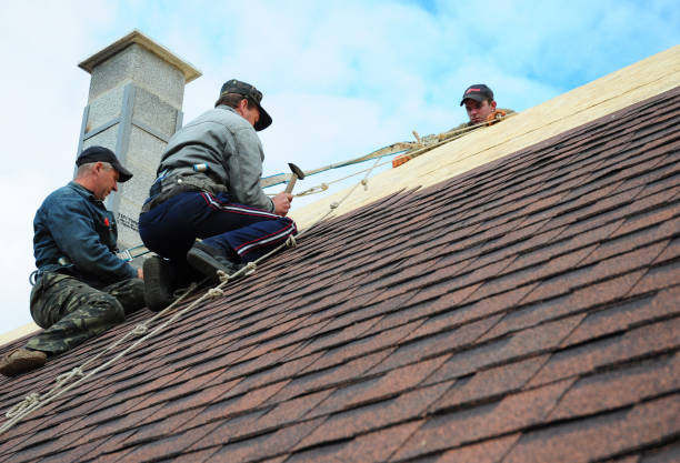 Roof Gutter Cleaning in Canterwood, WA
